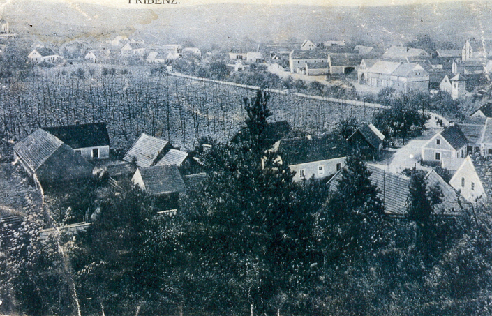 Pohlednice s názvem Pribenz (nedatováno, do roku 1945) - pohled na vesnici z kopce Kobyla, od Mukoděl. Dole je vidět chmelnice - dříve tam byl rybník, a pod kostelem mlýn. Zdroj: Artur Dýzl