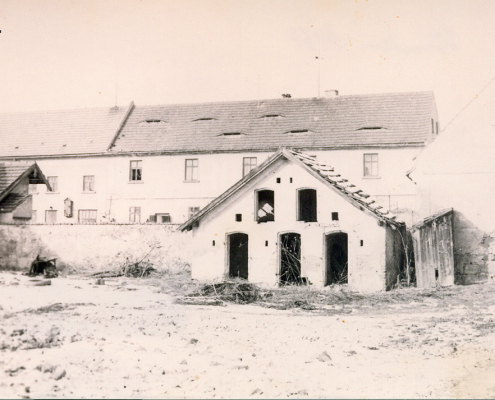 Přibenice - 60. léta, sousední statek vedle č.p. 29, statek byl rozebírán lidmi na materiál, zdroj: Artur Dýzl