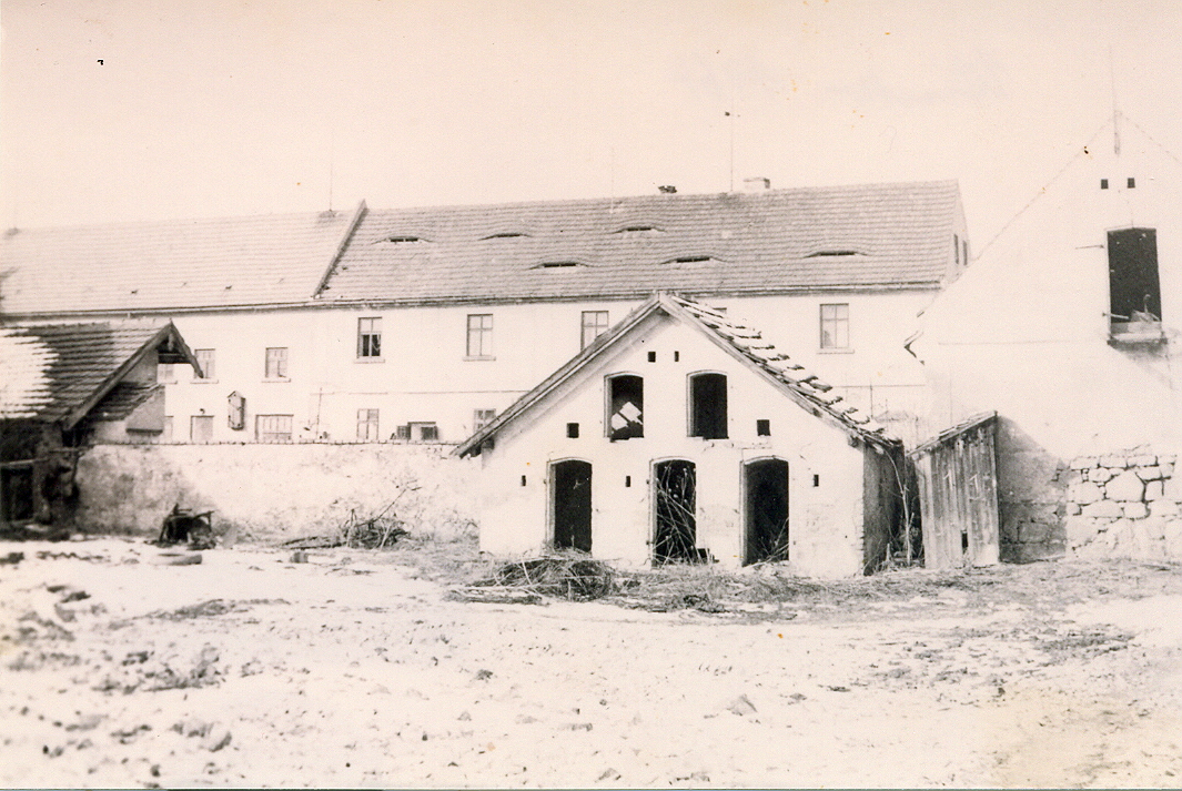 Přibenice - 60. léta, sousední statek vedle č.p. 29, statek byl rozebírán lidmi na materiál, zdroj: Artur Dýzl